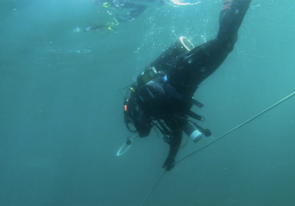 a man swimming in the water