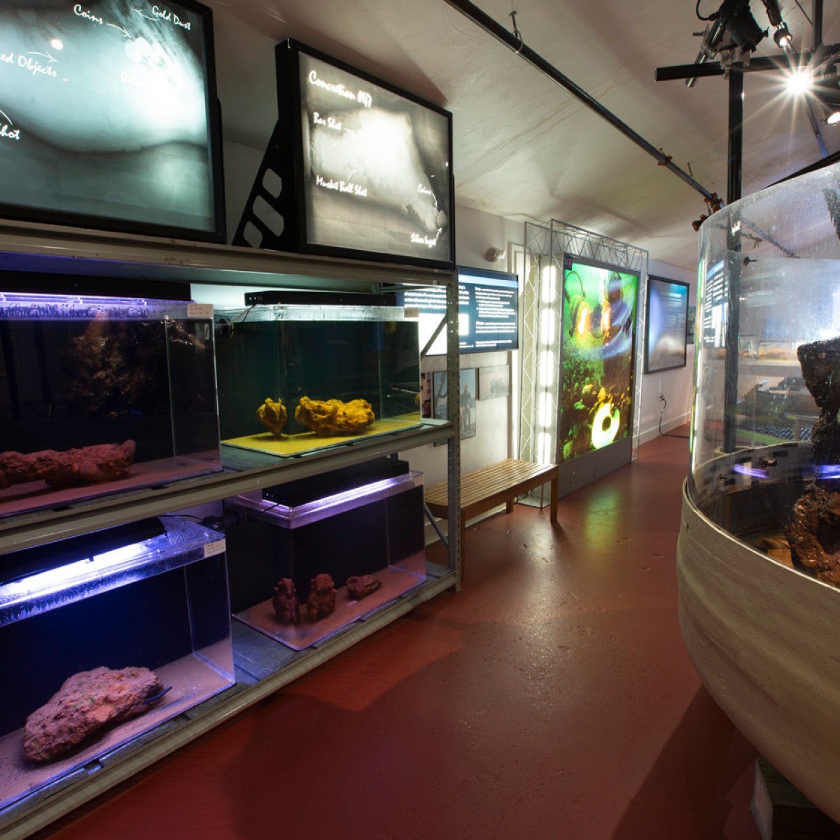 a room with a large screen television