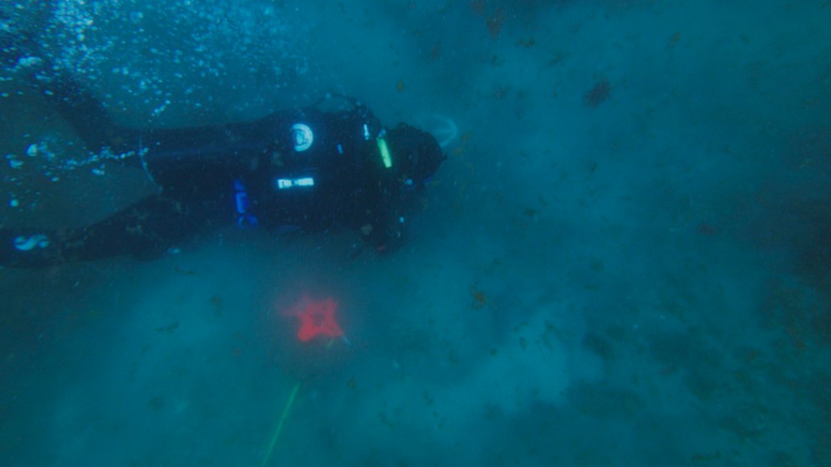 a person swimming in the water