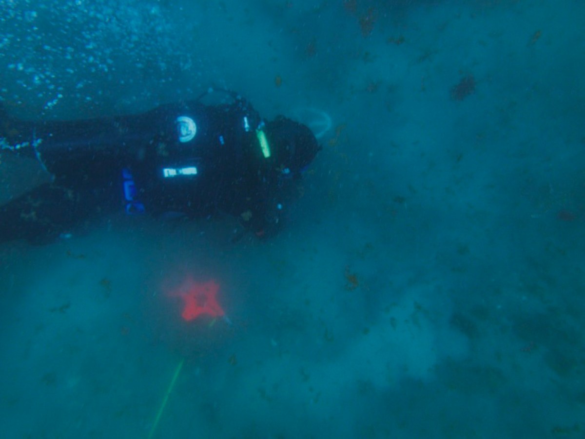 a person swimming in the water