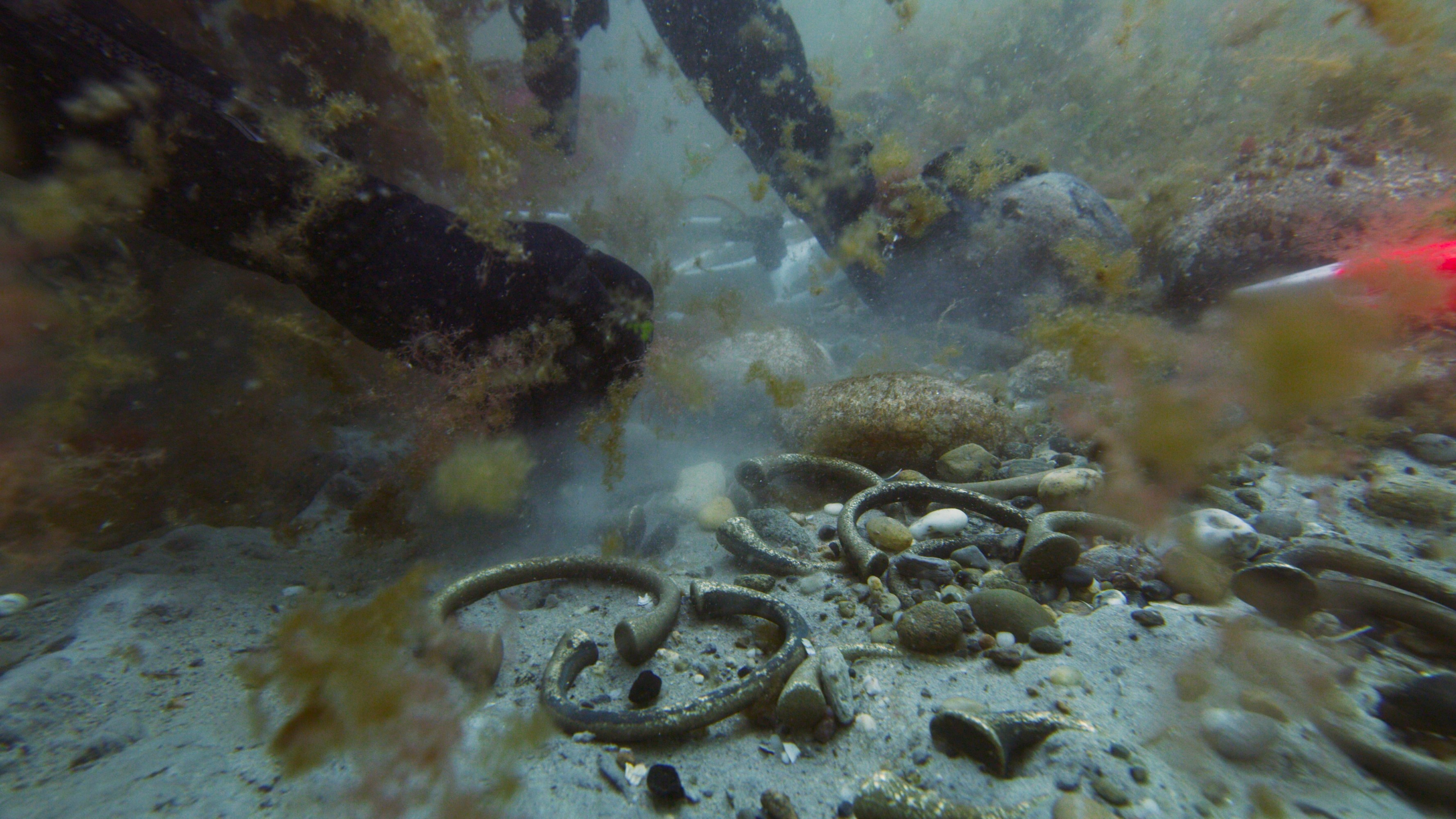 Underwater scene with diver inspecting seabed with rocks and seaweed.